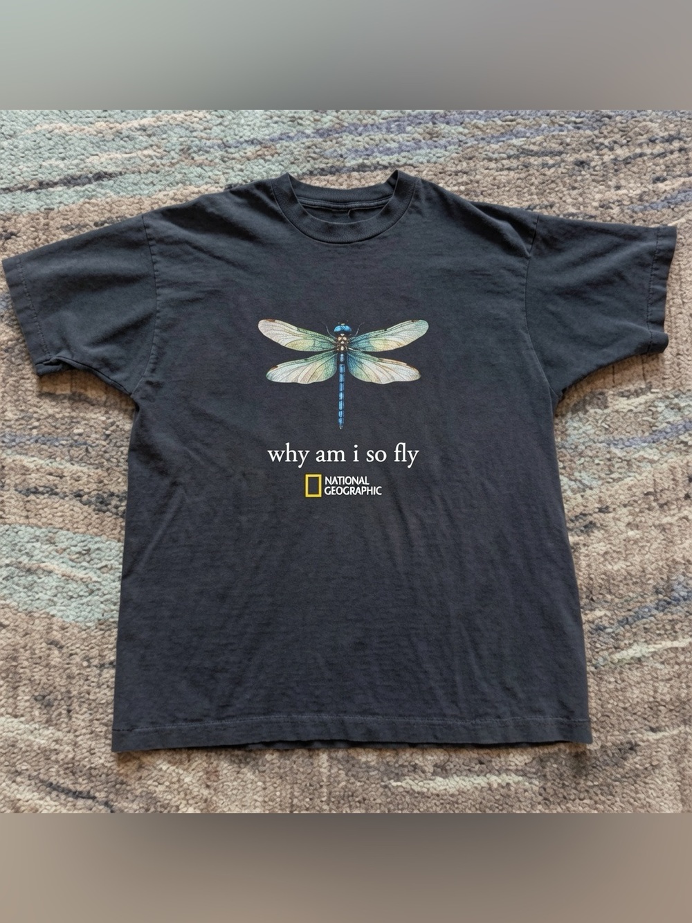 National Geographic Black Dragonfly Graphic Tee - "why am i so fly"